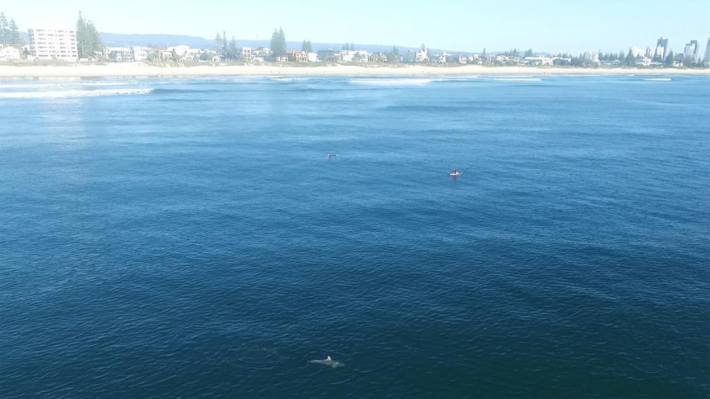 Albatross North Aparthotel Gold Coast